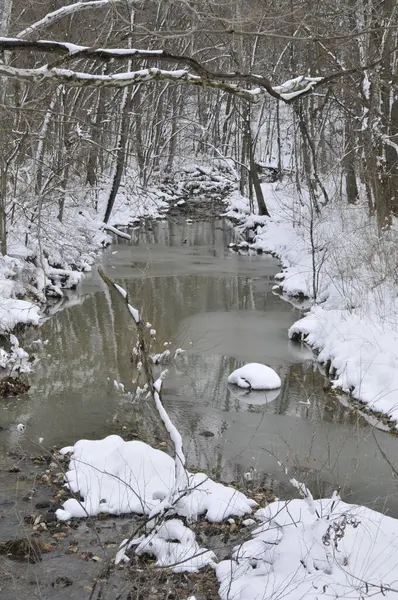 雪の毛布の下でミズーリ州の森の小川 — ストック写真
