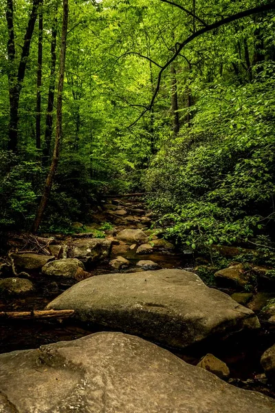 森の中の川の中の大きな岩の垂直ショット — ストック写真
