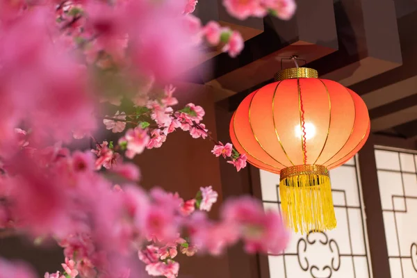 Geleneksel Bir Çin Fenerinin Arka Planında Büyüyen Erik Çiçeğinin Yakın — Stok fotoğraf