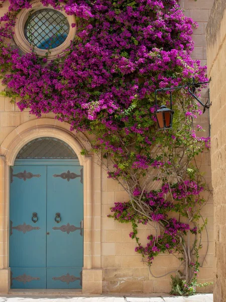 Yüzünde büyüyen güzel pembe bir çiçek