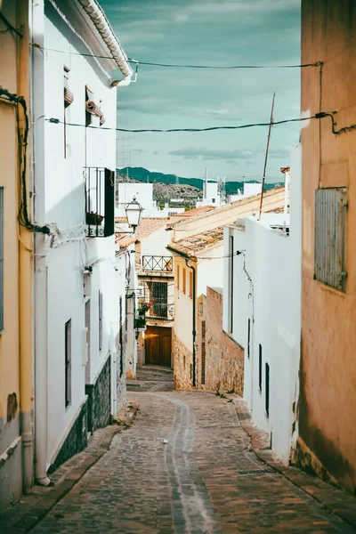 Uma Cidade Com Uma Alta Densidade Vida — Fotografia de Stock