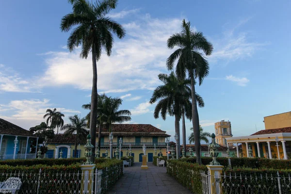Mavi gökyüzünün altında Trinidad 'da güzel bir palmiye ağacı ve bina manzarası.