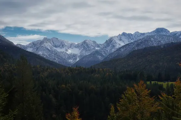나무들 눈덮인 산들이 산들의 — 스톡 사진