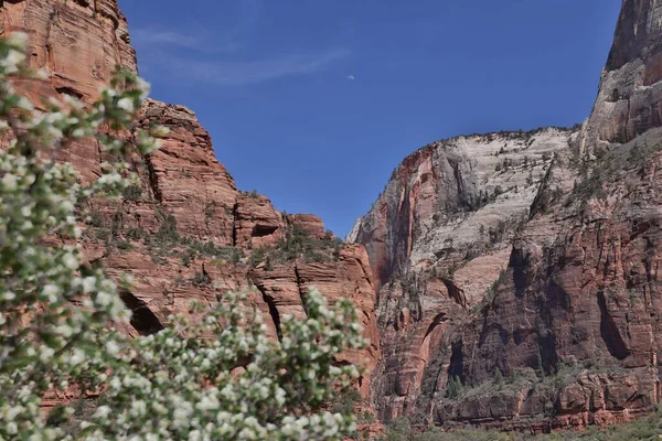 Angels Landing Trail Όμορφη Θέα Πάνω Από Φαράγγι Virgin River — Φωτογραφία Αρχείου