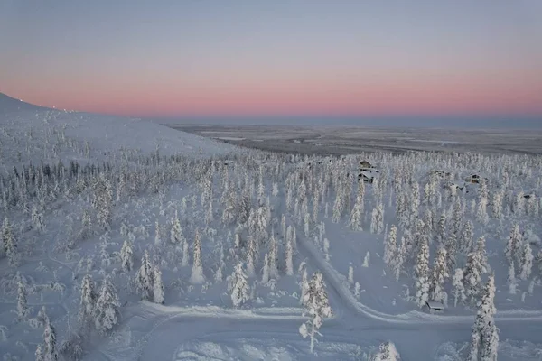 Вид Повітря Красиву Зимову Сцену Засніженими Деревами Захід Сонця — стокове фото