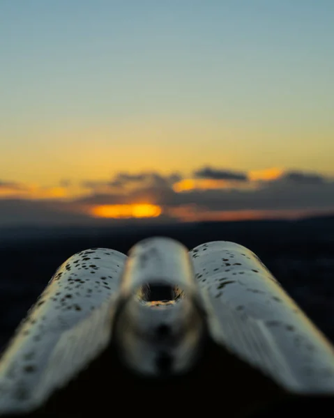 德国黑尔布隆市的一个俯瞰日落美景的双筒望远镜垂直拍摄 — 图库照片