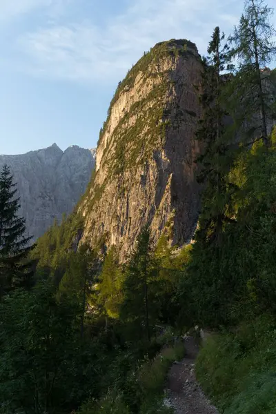 Lovitură Verticală Unei Stânci Copaci Prim Plan Italia — Fotografie, imagine de stoc