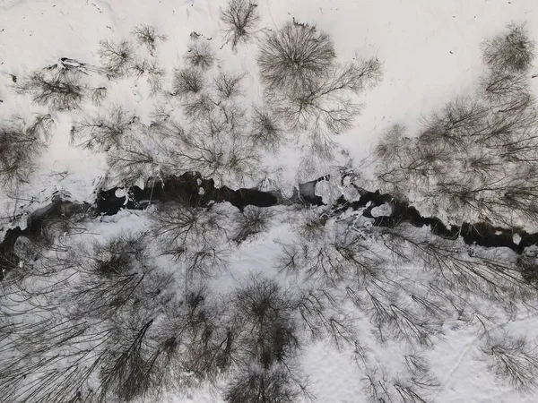 Letecký Záběr Úzkého Potoka Obklopeného Stromy Sněhem Během Zimy Ukrajině — Stock fotografie