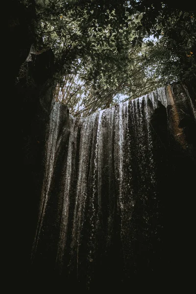 Vertikal Botten Skott Ett Vattenfall Skogen — Stockfoto