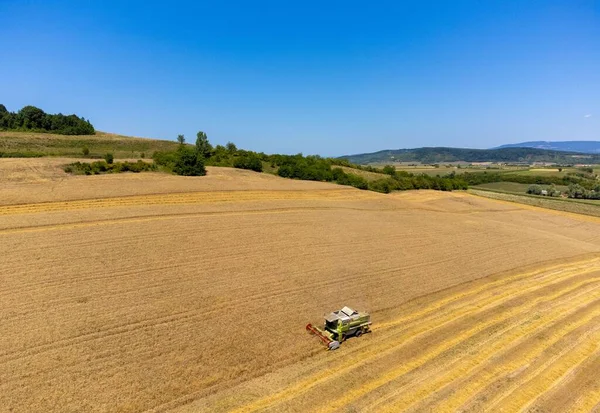 Tarlada buğday, buğday, buğday ve çiftçiliğin birleşimiyle manzara