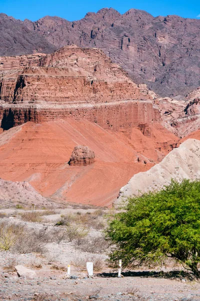 Vertical Shot Huge Red Canyons — Stock Photo, Image