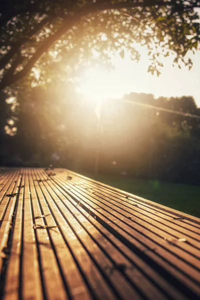 Вертикальный Снимок Солнечного Света Парке — стоковое фото