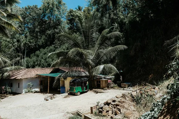 Une Cabane Rustique Sous Les Palmiers Sous Les Tropiques — Photo