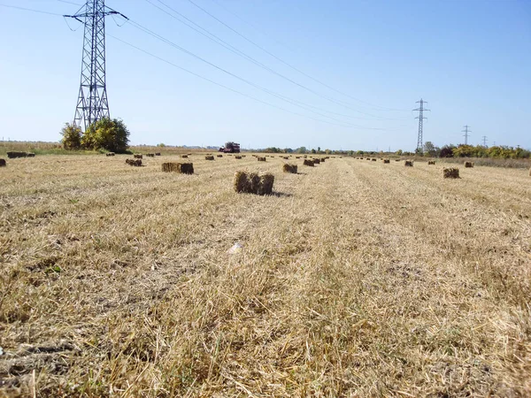 Landschaft Eines Landwirtschaftlichen Feldes Mit Strohballen Nach Der Ernte — Stockfoto