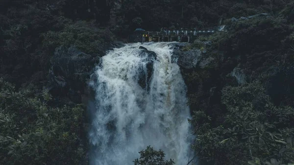 Een Landschap Van Een Waterval Een Dicht Dennenbos — Stockfoto