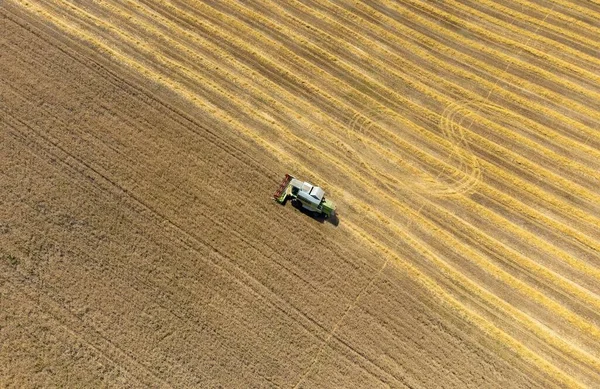 Tarlada buğday hasat etmek İHA 'dan görülen bir karışım ile