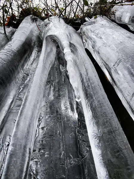 Plano Vertical Bajo Ángulo Grandes Bloques Hielo Bosque —  Fotos de Stock