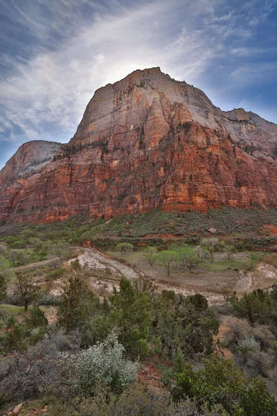 Pionowy Widok Kanion Rzeki Virgin Park Narodowy Zion Utah Usa — Zdjęcie stockowe