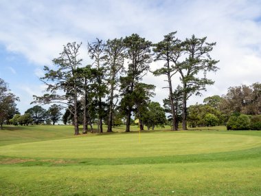 Musick Point golf sahası manzarası, sarı bayraklı iğne. Auckland, Yeni Zelanda - 13 Şubat 2022