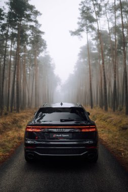 Sisli bir ormanda siyah bir Audi RS Q8 'in dikey çekimi.