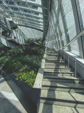 Londra 'daki Glass Sky Garden, bulutların üstündeki bahçe, İngiltere, İngiltere