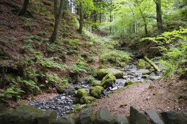 Barnard Kalesi 'nin yakınındaki Tees Nehri' nin manzarası.