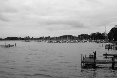 Kasvetli bir günde, ormanın yakınındaki bir gölün gri pulu.