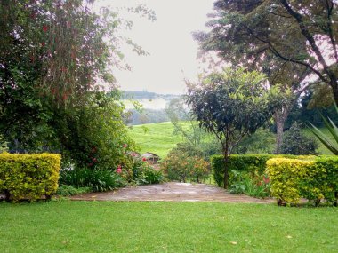 Yeşil bir çevre manzarası. Arkaplanda ekilmiş ağaçlar ve çiçekler var.