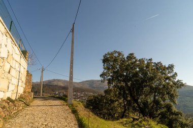 Gün boyunca ormanda güzel bir patika görüntüsü.