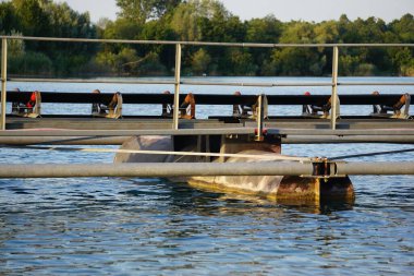 Gölde güzel bir rıhtım manzarası ve arka planda yoğun bir orman.