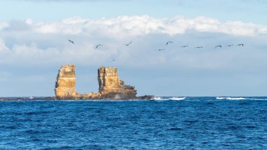 Bulutlu bir gökyüzüne karşı bir kuş sürüsü deniz yığınının üzerinde uçuyor.