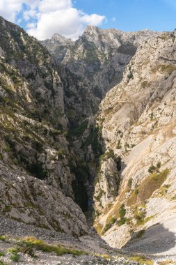 Güneşli bir günde dağların dikey görüntüsü