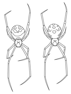 Dövme için kara dul örümcek illüstrasyonu