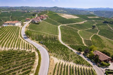Langhe ve Roero 'nun Romantik Yolu' nun havadan görünüşü sonsuz üzüm bağları arasında. Piedmont İtalya