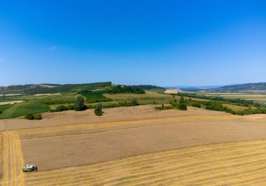 Tarlada buğday, buğday, buğday ve çiftçiliğin birleşimiyle manzara