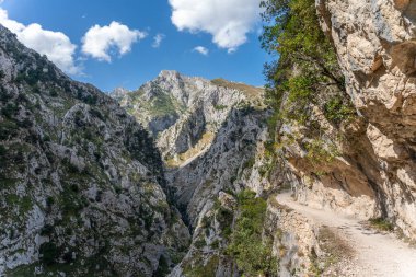 Yeşilliklerle kaplı güzel dağların manzarası
