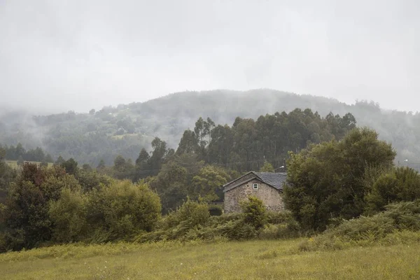 Una Vista Una Casa Abandonada Entre Bosque Día Niebla — Foto de Stock