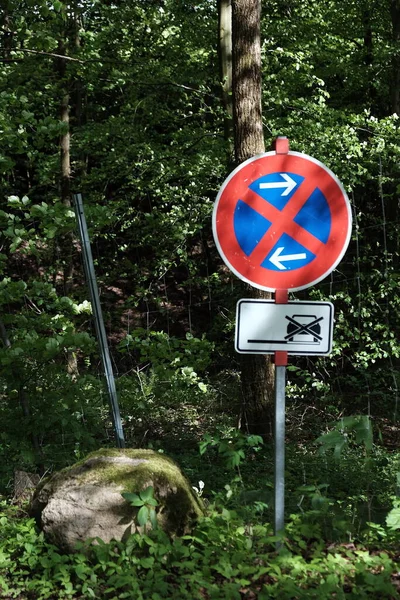 鬱蒼とした緑の森に対する道路標識 — ストック写真