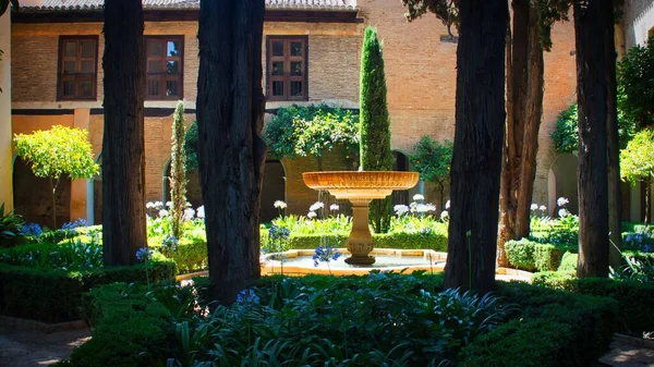 Neposkvrněná Zahrada Paláce Alhambra Stromy Fontánou Granada Španělsko — Stock fotografie