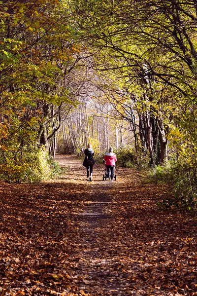 Blick Auf Spaziergänger Park Mit Herbstbäumen — Stockfoto