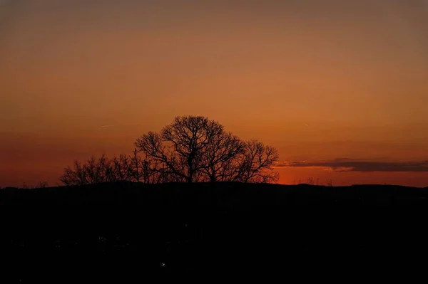 Fotografía Una Puesta Sol Con Árboles Sol —  Fotos de Stock