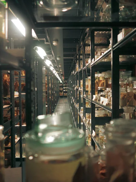 Sala Com Espécimes Preservados Museu História Natural Berlim Alemanha — Fotografia de Stock