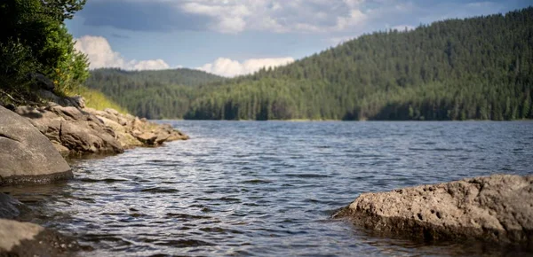 美しい湖の景色と背景の山の森 — ストック写真