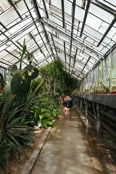 Eine Vertikale Aufnahme Des Innenraums Des Botanischen Gartens Von Iasi — Stockfoto