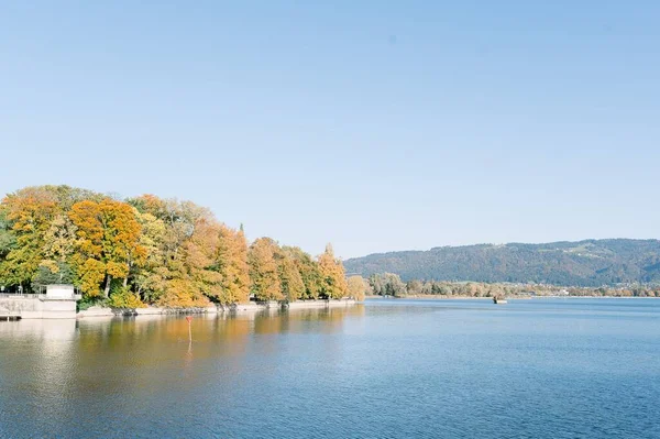 Uma Vista Aérea Lago Constance Cercado Por Árvores Outono — Fotografia de Stock