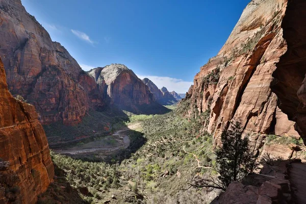 Angels Landing Trail Beautiful Views Virgin River Canyon Zion National — Stock Photo, Image