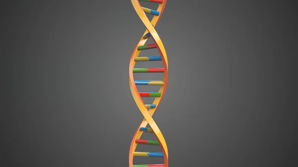 An Abstract DNA Double Helix loop with Alpha Channel isolated on a gray background