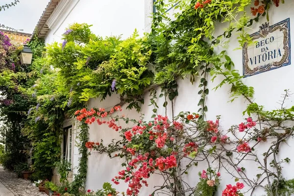 Cascais Small City Portugal Typical Street Flower Houses — Stock Photo, Image