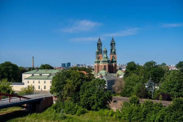 Piotr Pawel Kathedraal Omgeven Door Groene Bomen Tumski Eiland Polen — Stockfoto