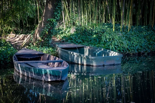 水の上の緑の海岸によってドッキングされた古い木製のボート — ストック写真